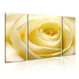 High Quality Home Wall Decoration Flower Painting