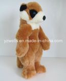 Stuffed Toys/Animal Toys/Plush Animals/Racoon Toys