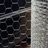 0.4mm Glavanized Chicken Wire Mesh