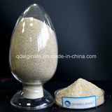 Textile Sodium Alginate for Textile Industry