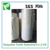 Polyethylene Coated Paper for Cup