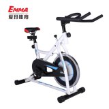 Exercise Bike (AM-S9000)