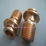 Bronze Thread by CNC Turning Technology (LM-704)