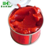 High-Nutritional Organic Fresh Canned Tomato Paste