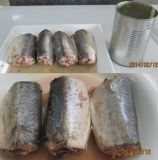 Hot Sale Canned Mackerel in Brine with Halal