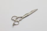 Hair Scissors (U-219)