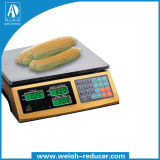 Electronic Pricing, Counting Scales (A-802D)