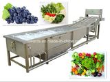 Industrial Fruit Vegetable Washing Machine