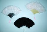 Feather Fun