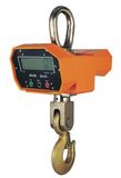 Wireless Crane Scale
