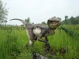 Shopping Mall Decoration-Artificial Dinosaur 69-Allosaurus