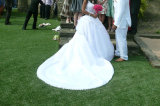 Artificial Grass for Weddings Party (MD300)