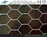 Hot Dipped and Electro Galvanized Hexagonal Wire Netting