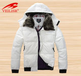 Winter Garments (WHOCO128)