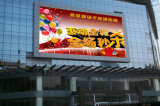 P16 Outdoor LED Screen/LED Display for Advertising