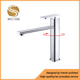 Fashion Brass Basin Faucet (AOM-2107-2)