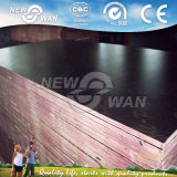 Film Faced Marine Shuttering Plywood for Concrete Construction Formwork