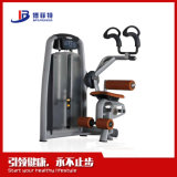 Professional Crunch Fitness Equipment Abdominal Machine Fitness Equipment (BFT2012)