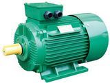 Y2 Series AC Electric Motor Cast Iron 2p 3kw