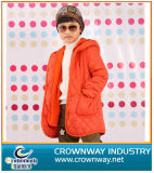 Boy's Down Jacket / Fashion Padded Coat (CW-BKIDS-PJ2)