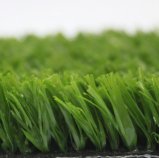 Artificial Grass, Artificial Turf, Football Grass, Multi-Sports Grass (PD/SF25G8)