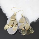 Jewelry Earrings, Fashion Jewelry, Stainless Steel Earrings (E2345)