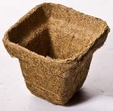 Nursery Cup