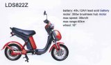 Electric Bicycle Lds822z