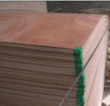 Cheap Price and Good Quality of 2mm Plywood