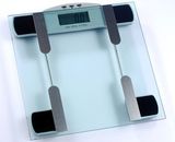 Body Fat Scale