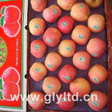 Good Quality for Exporting Chinese FUJI Apple