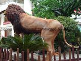Lion Robots