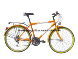 Colorful Mountain Bicycle with Best Price (SH-MTB224)
