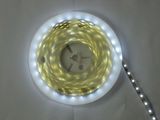 LED Strip/ 5050 Flexible LED Strip/ LED Strip Light