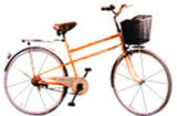 Ordinary Bicycle HSQF2608