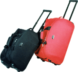 EVA Luggage  DK8820