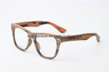 Acetate Eyewear Latest Optical Eyeglass Frames (B2140-C94)