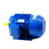 Y2 Series Electric Motors (280S-6/45kw)