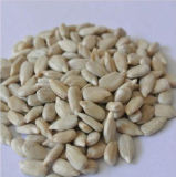 Wholesale China Sunflower Seed Kernel