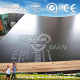 Film Faced Plywood for Building Material (NFFP-1260)