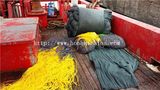 Trawl Net (PE net)