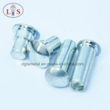 Rivet / Fastener with High Quality