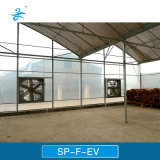 Sp-F-EV Exhaust Ventilation Fan for Greenhouse Cooling System