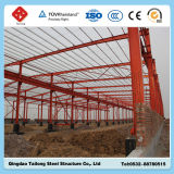 Easy Installation Steel Structure Factory Building