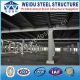 Steel Frame Flooring Structure (WD101813)