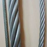 Stainless Steel Wire Rope /Wire Rope for Elevators