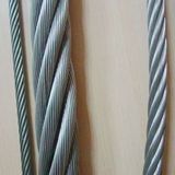 Stainless Steel Wire Rope /Wire Rope for Elevators