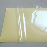 Self Adhesive Transparent Pet Paper (WBL-G225)