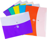 Hot Sell Low Price Good Quality Office Stationery PP A4 F/C B5 Double Color File Bag