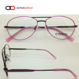 Hot Selling Metal Optical Frame, Eyewear Frame, Spectacles, Eyeglasses (31447)